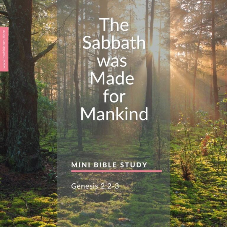 The Sabbath was Made for Mankind